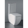 Унитаз напольный LAUFEN PALOMBA COLLECTION выпуск VARIO c LLC 8.2480.6.400.000.1